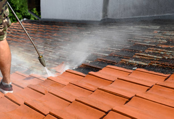 Best Roof Power Washing Services  in Lamar, SC